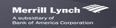 DSP Merrill Lynch
